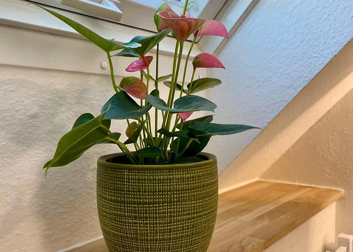 Haus87a * Oberkirch (Baden)